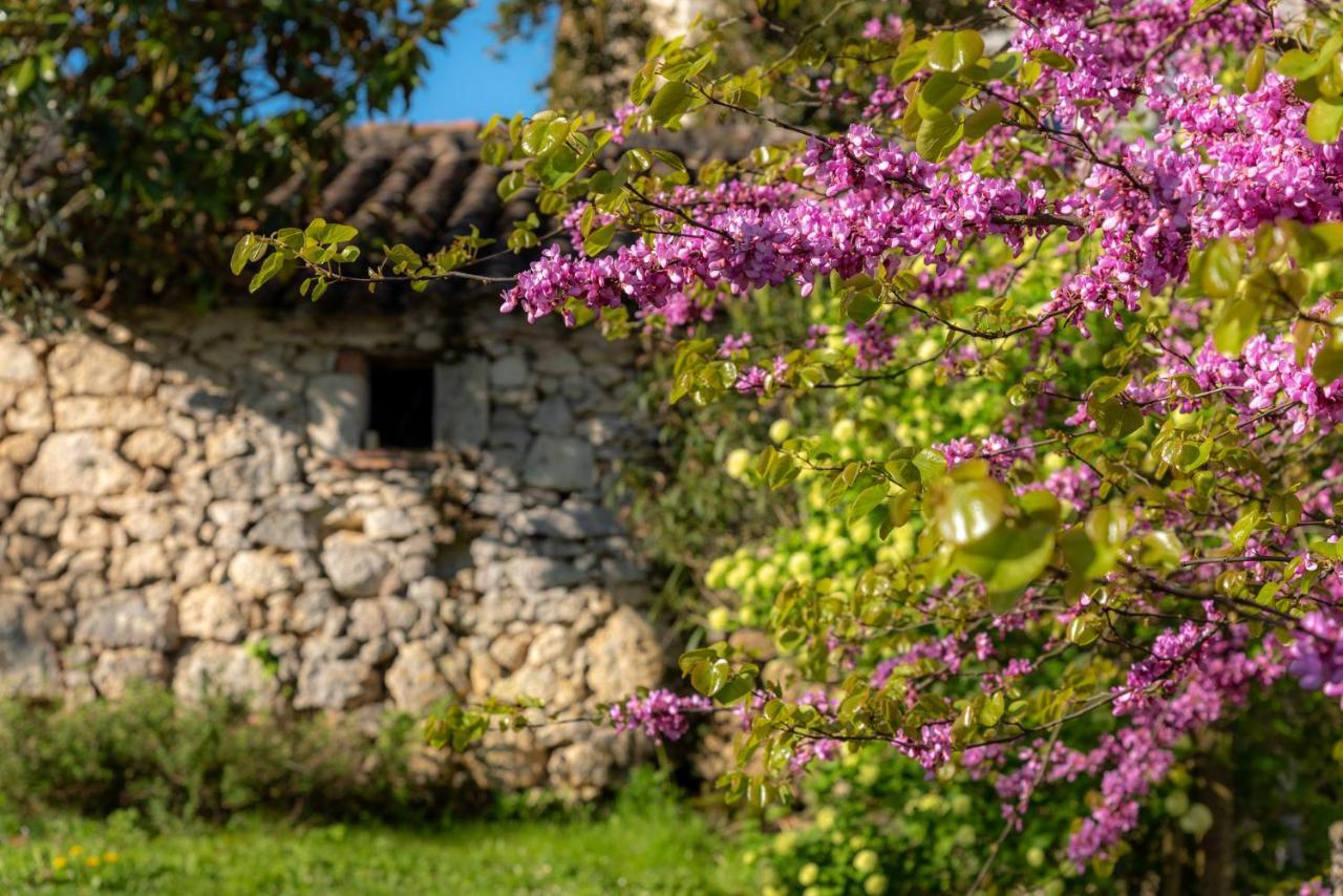 La Maison De Yuka Plieux 外观 照片